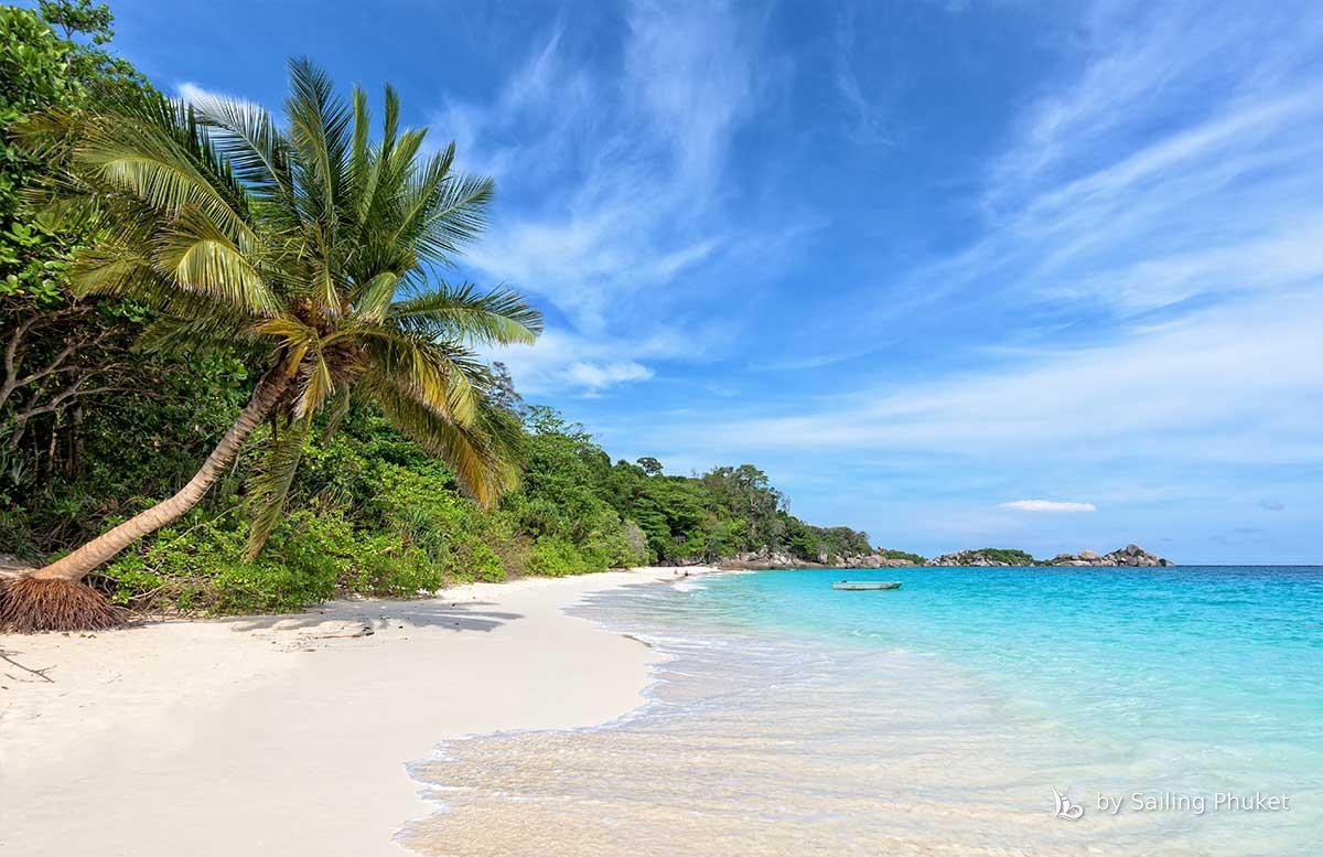 Palm-fringed beach, Similan Islands